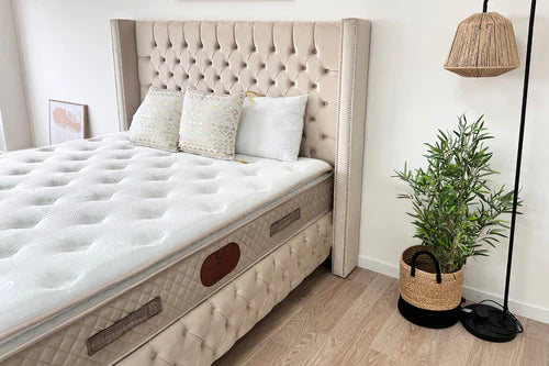 BEIGE CLOUTE Storage Bed - Upholstered velvet