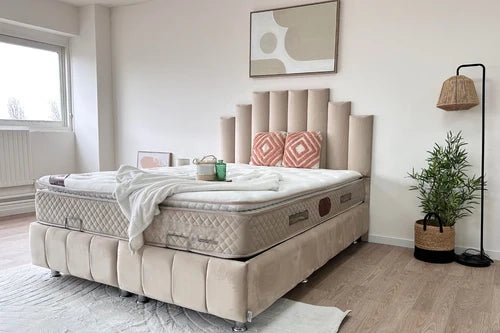 NATURA BEIGE Storage Bed - Velvet