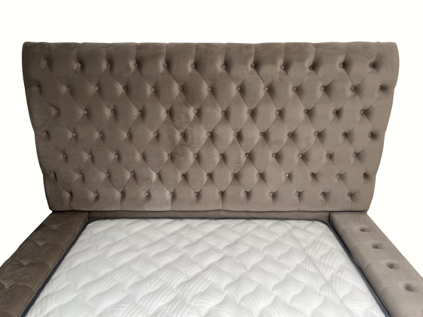 Lit Royal F31 - Image 3