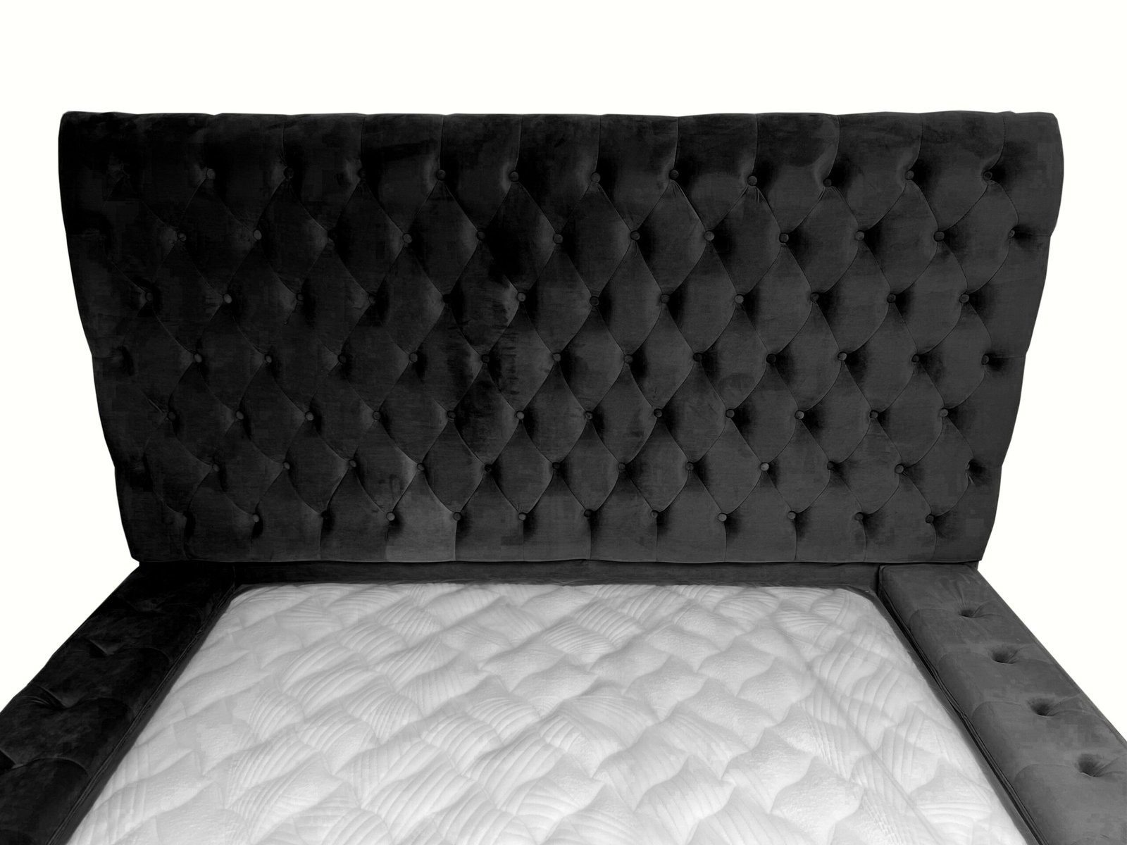 Lit Royal F31 - Image 2